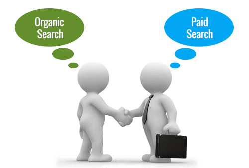 Paid searches or organic searches….???